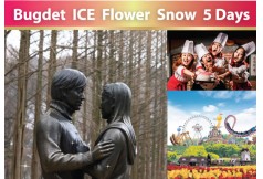 Bugdet iCE Flower Snow