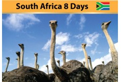 South Africa 8 Days by SQ  0