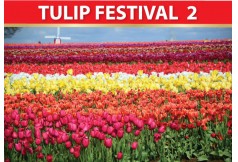 TULIP FESTIVAL 2_Best of North 9 Days 0