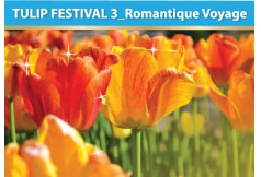 TULIP FESTIVAL 3_Romantique Voyage 0