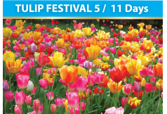 TULIP FESTIVAL 5_CH GR NT BL FR 11 Days 0