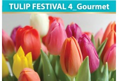 TULIP FESTIVAL 4_Gourmet 0