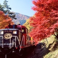 รถไฟสายซากาโนะsagano-romantic-train