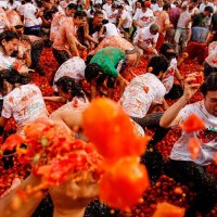 เทศกาลปามะเขือเทศla-tomatina
