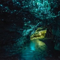 ถ้ำไวโทโม-waitomo-caves