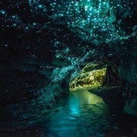 ถ้ำไวโตโมโกลว์วอร์มwaitomo-glowworm-caves